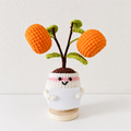 Orange Potted