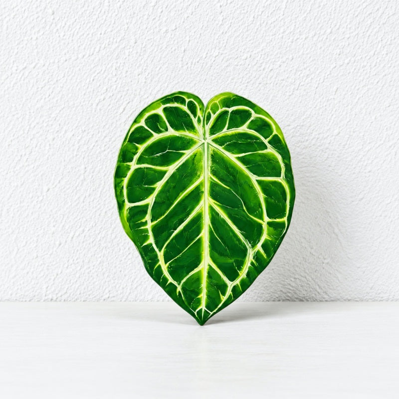 CouldNook Tropical Leaf Coaster - Shaped Edges And Colorful Vein Patterns