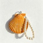 CouldNook Shell Notebook - Ridged Scallop Covers and Decorative Beaded Loop