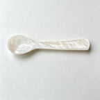 CouldNook Shell Seasoning Spoon - Sculpted Small Scale Design