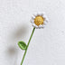 Yellow White Flower