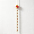 CouldNook House Hat Clip Hanger - Vertical Strap and Eight Clips