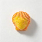 CouldNook Seashell Bath Bomb Set - Colorful Ocean Shapes