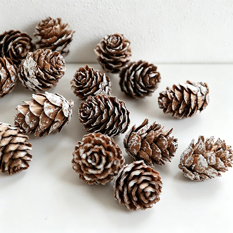 White Mini Pine Cones Wall Decor - Christmas Natural Dried Plant Ornaments(12PCS)