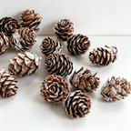 White Mini Pine Cones Wall Decor - Christmas Natural Dried Plant Ornaments(12PCS)