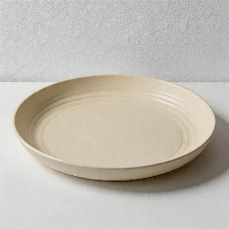 Multicolor Round Plastic Plates - Lightweight Unbreakable Dinner Plates for Daily Use（Set of 10）
