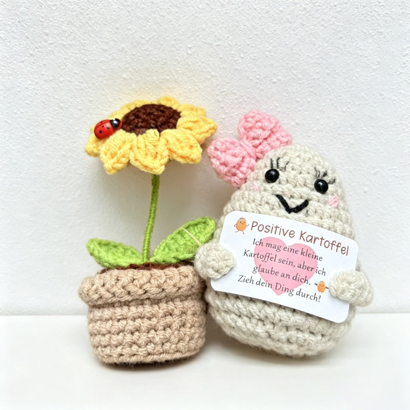 CouldNook Yarn Potato Sunflower Gift Set - Assorted Box Configurations