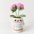 Pink‑Rose Potted