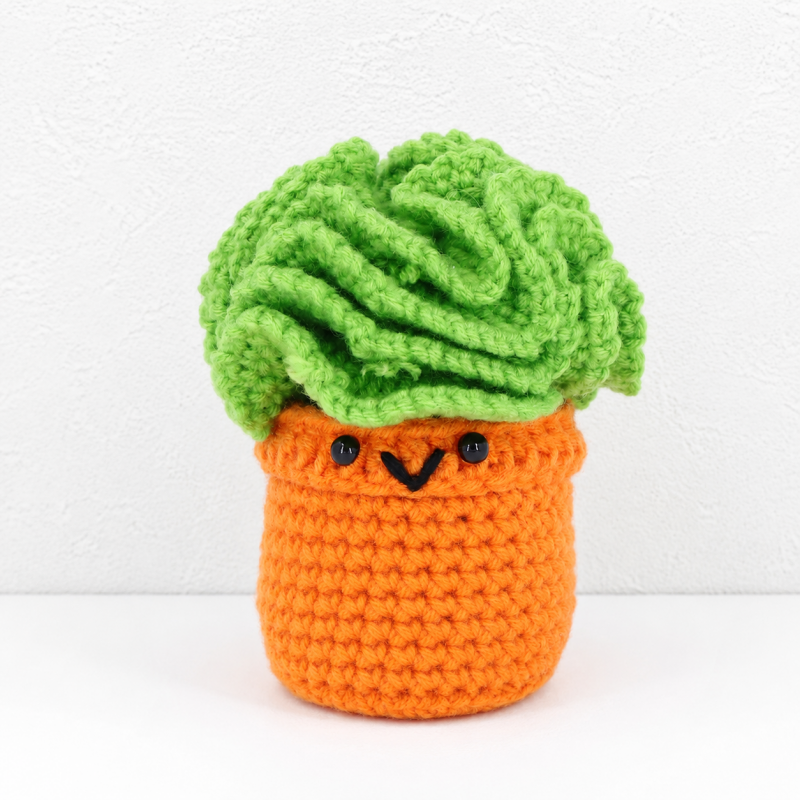 CouldNook Yarn Succulent Planter Figure - Assorted Facial Details