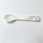 CouldNook Shell Seasoning Spoon - Sculpted Small Scale Design