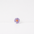 CouldNook Mini Flower Patch - Daisies Tulips and Colorful Blossoms