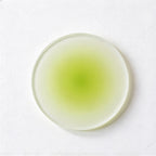 CouldNook Frosted Coaster - Soft Color Halo and Round Minimal Outline
