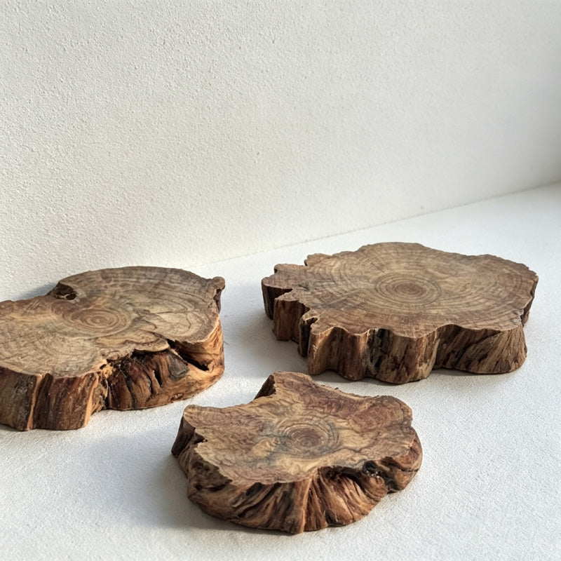 CouldNook Natural Wood Slice Coaster - Irregular Size Selection