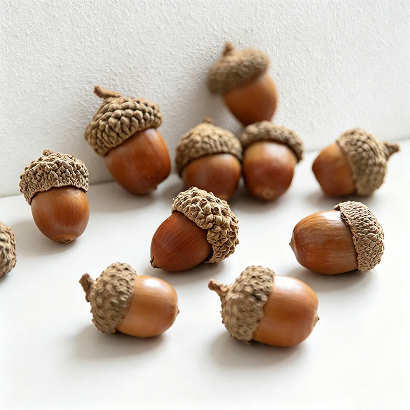 Natural Acorns Wall Decor - Christmas Decoration Dried Plant Materials(12PCS)