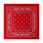 Paisley Print Culinary Bandanas - Polyester Square Headscarf(Set of 10)