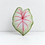 CouldNook Tropical Leaf Coaster - Shaped Edges And Colorful Vein Patterns