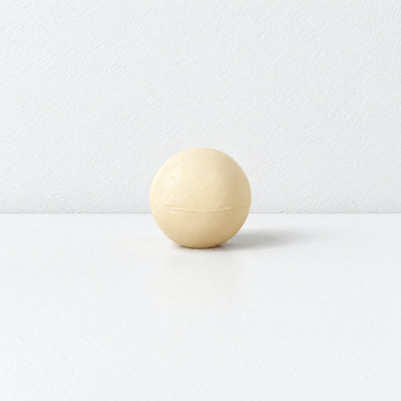 CouldNook Realistic Mushroom Magnet - Sculpted Woodland Forms Accent