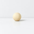 CouldNook Realistic Mushroom Magnet - Sculpted Woodland Forms Accent