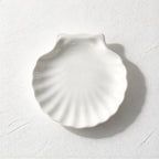 CouldNook Shell Dish - White Scalloped Serving Shape