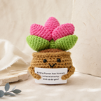 CouldNook Yarn Succulent Planter Figure - Assorted Facial Details