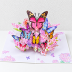 CouldNook Nature Pop-Up Greeting Card - Detailed Paper Scenes and Illustrated Covers