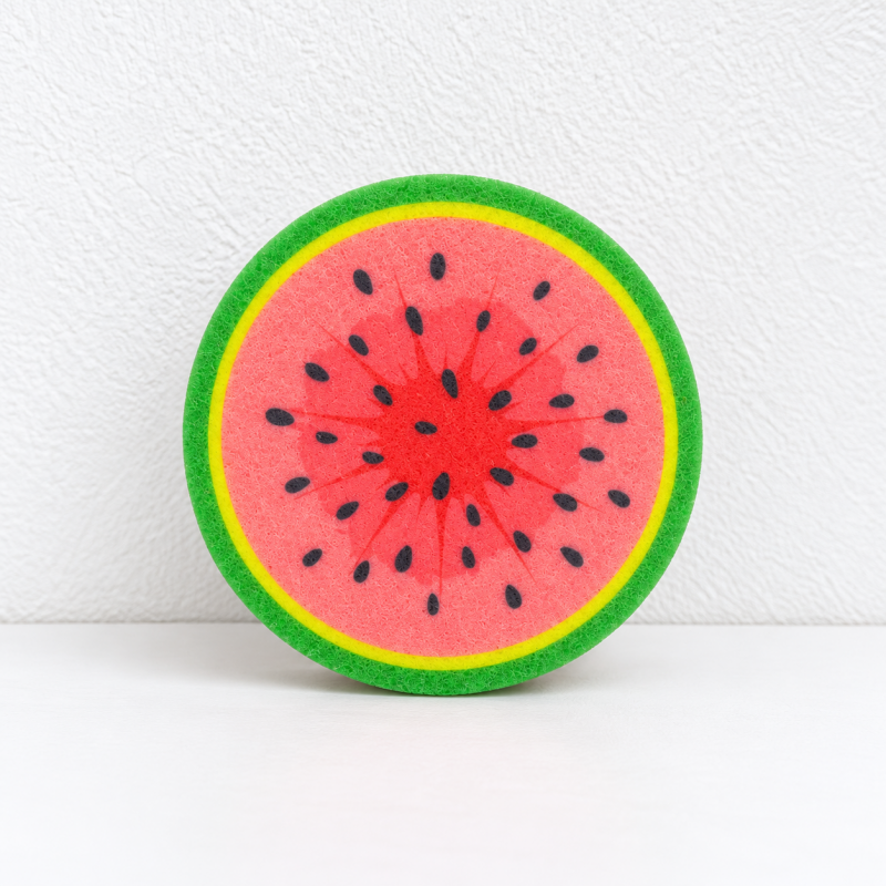 Fruit Slice Dishwashing Sponges with Round Printed Faces