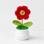 CouldNook Yarn Plant Doll Ornament - Heart and Floral Shapes
