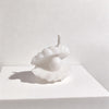Pearl Seashell / One Size