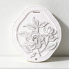 Courtyard Gardenia / One Size