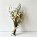 Rodanthe's Millet Flowers