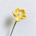 Yellow Flower