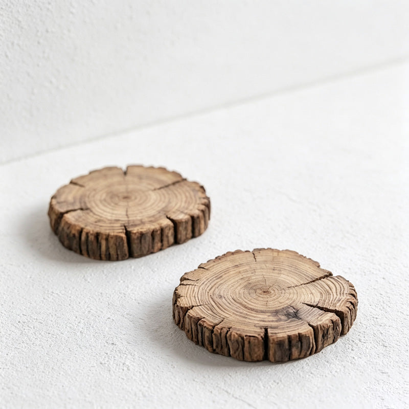 CouldNook Natural Wood Slice Coaster - Irregular Size Selection