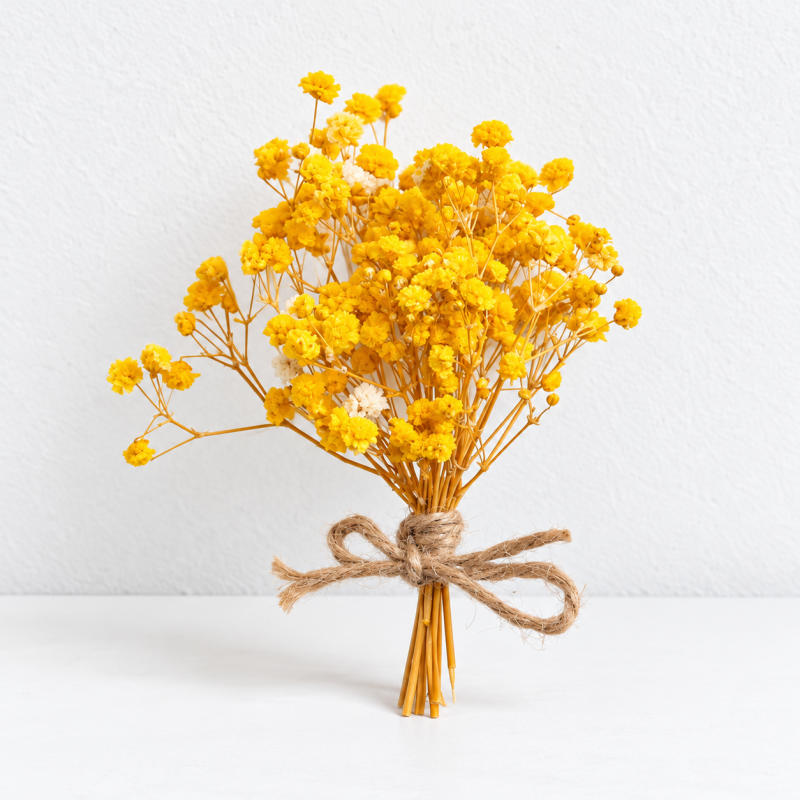 CouldNook Dried Flower Gift Bouquet - Mixed Botanical Styles