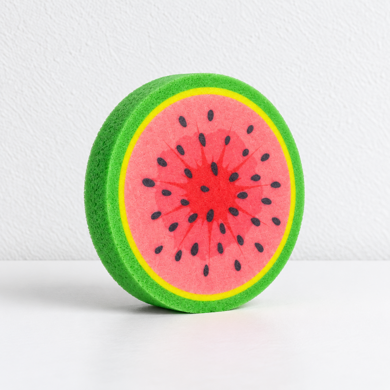 Fruit Slice Dishwashing Sponges with Round Printed Faces