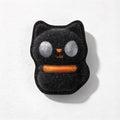 Black Cat