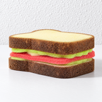 Sandwich Dishwashing Sponge with Layered Filling Details