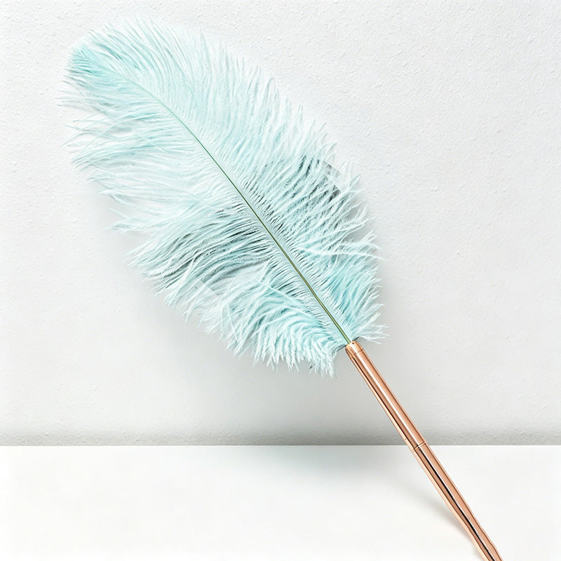 CouldNook Pen-Vintage Ostrich Feather Ballpoint Pen Elegant Gift Pen for Wedding Office Graduation