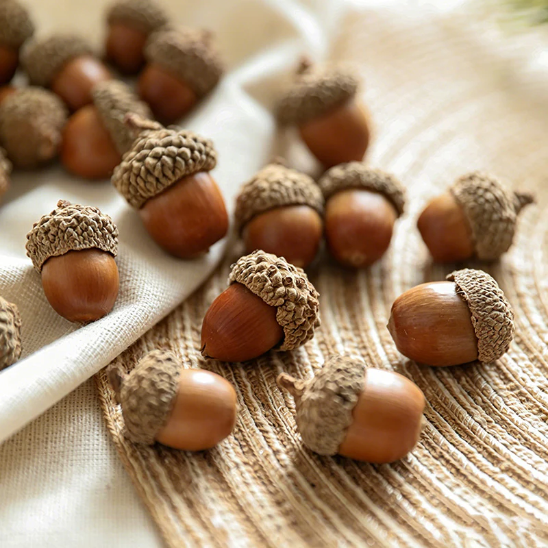 Natural Acorns Wall Decor - Christmas Decoration Dried Plant Materials(12PCS)