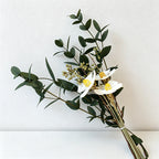 Mini Dried Flower Bouquet, Preserved Gypsophila Rose Baby's Breath Small Bouquet