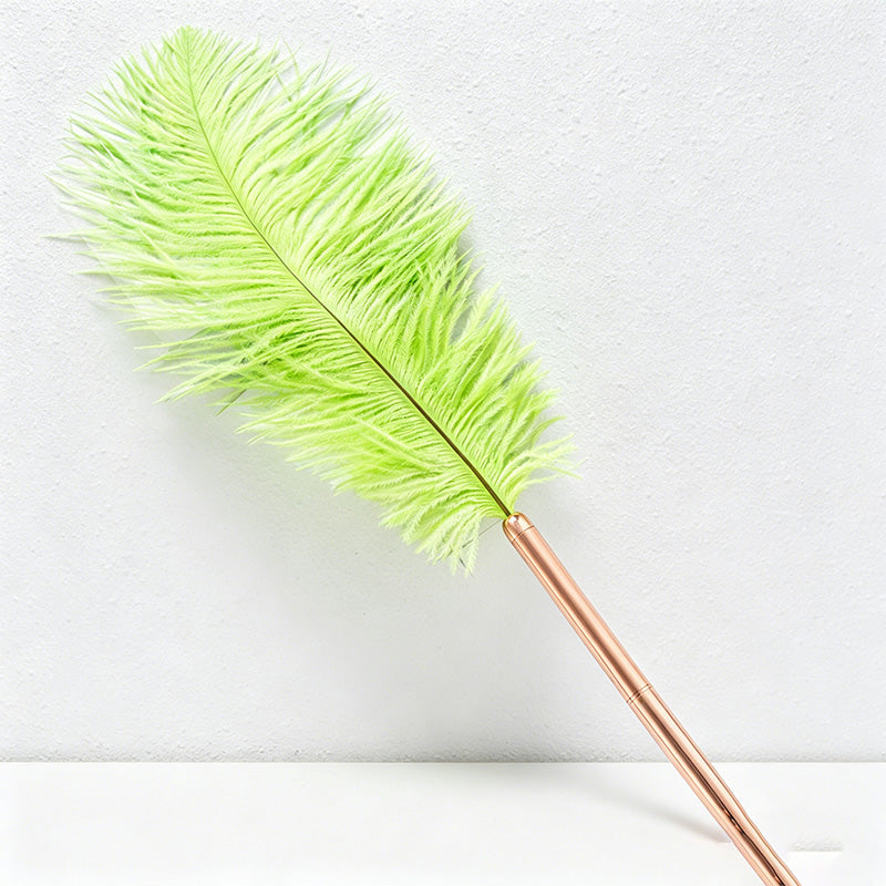 CouldNook Pen-Vintage Ostrich Feather Ballpoint Pen Elegant Gift Pen for Wedding Office Graduation