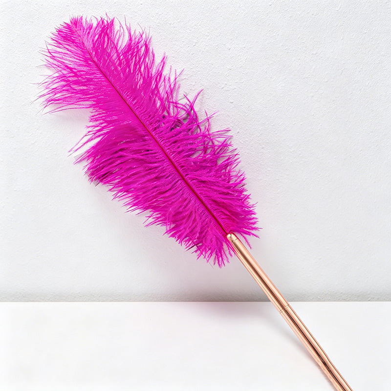 CouldNook Pen-Vintage Ostrich Feather Ballpoint Pen Elegant Gift Pen for Wedding Office Graduation