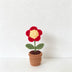 Red‑Flower Potted