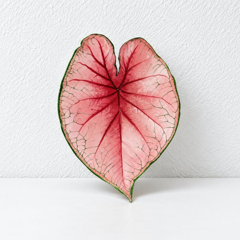 CouldNook Tropical Leaf Coaster - Shaped Edges And Colorful Vein Patterns