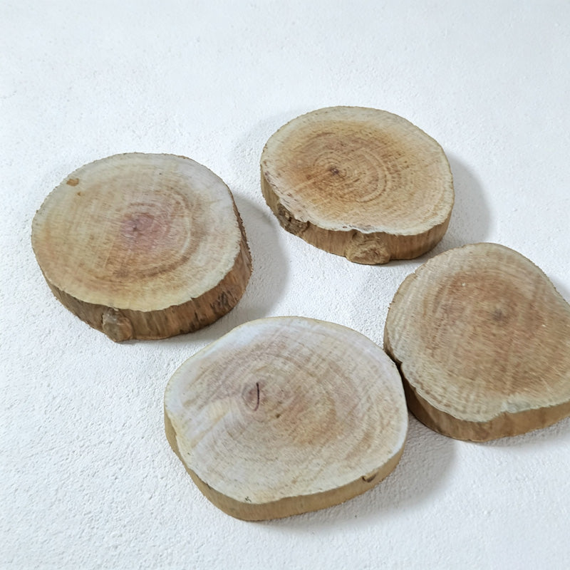 CouldNook Natural Wood Slice Coaster - Irregular Size Selection