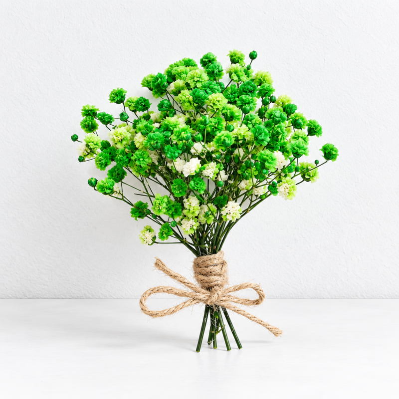CouldNook Dried Flower Gift Bouquet - Mixed Botanical Styles