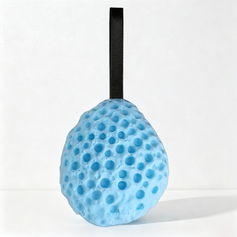 CouldNook Round Honeycomb Bath Sponge - Colorful Hanging Scrubber