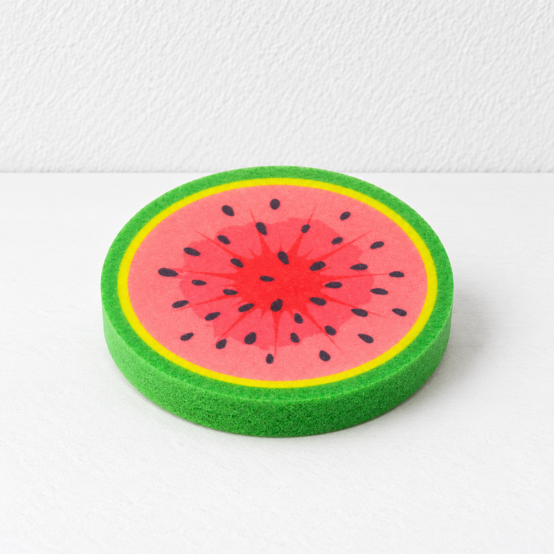 Fruit Slice Dishwashing Sponges with Round Printed Faces