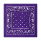Paisley Print Culinary Bandanas - Polyester Square Headscarf(Set of 10)