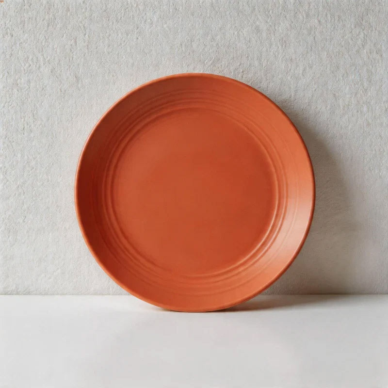Multicolor Round Plastic Plates - Lightweight Unbreakable Dinner Plates for Daily Use（Set of 10）