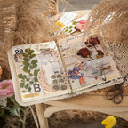 CouldNook Botanical PET Stickers - Dried Flower Look And Transparent Surrounds
